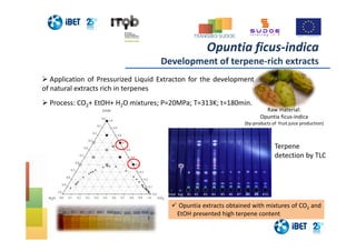 Opuntia ficus-indica
Development of terpene-rich extracts
Raw material:
Opuntia ficus-indica
(by-products of fruit juice production)
Process: CO2+ EtOH+ H2O mixtures; P=20MPa; T=313K; t=180min.
Application of Pressurized Liquid Extracton for the development
of natural extracts rich in terpenes
fried lup #1 #2 #3 #4 #5 #6 #7 #8 #9 #10fried lup #1 #2 #3 #4 #5 #6 #7 #8 #9 #10
Terpene
detection by TLC
Opuntia extracts obtained with mixtures of CO2 and
EtOH presented high terpene content
 