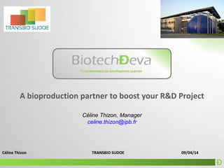 Ð
Céline Thizon TRANSBIO SUDOE 09/04/14
A bioproduction partner to boost your R&D Project
Céline Thizon, Manager
celine.thizon@ipb.fr
 