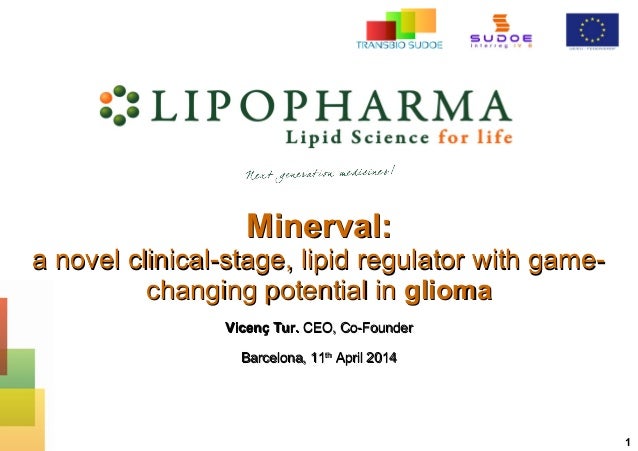 Image result for minerval