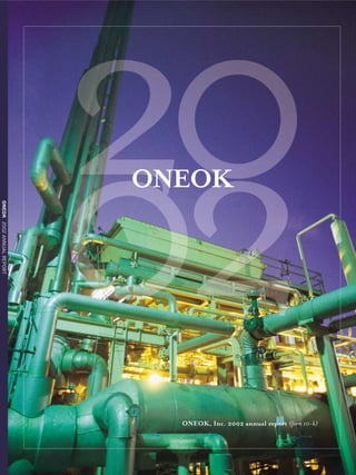 oneok 2002 Annual Report