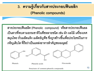13
OH
HO
O
OH
O
Phenols Phenolic acids Flavonoids
Structures of common phenolic compounds
 