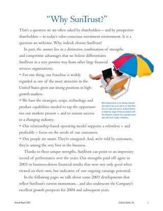 sun trust banks 2003 10-K