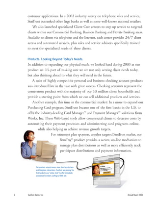 sun trust banks 2003 10-K