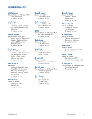 sun trust banks 2003 10-K