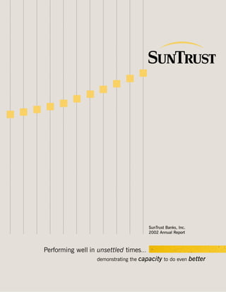 sun trust banks 2002 Annual Report