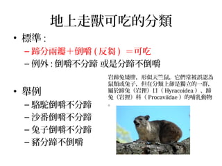 地上走獸可吃的分類
• 標準 :
– 蹄分兩瓣＋倒嚼 ( 反芻 ) ＝可吃
– 例外 : 倒嚼不分蹄 或是分蹄不倒嚼
• 舉例
– 駱駝倒嚼不分蹄
– 沙番倒嚼不分蹄
– 兔子倒嚼不分蹄
– 豬分蹄不倒嚼
岩蹄兔矮胖，形似天竺鼠，它們常被誤認為
鼠類或兔子，但在分類上卻是獨立的一群，
屬於蹄兔（岩狸）目（ Hyracoidea ）、蹄
兔（岩狸）科（ Procaviidae ）的哺乳動物
。
 