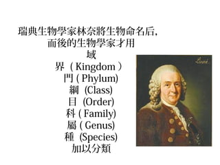 瑞典生物學家林奈將生物命名后，
而後的生物學家才用
域
界 ( Kingdom ）
門 ( Phylum)
綱 (Class)
目 (Order)
科 ( Family)
屬 ( Genus)
種 (Species)
加以分類
 
