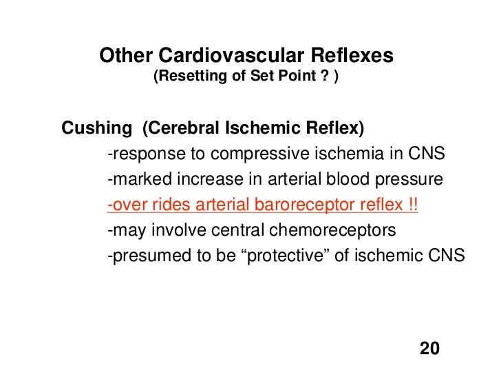 11.05.08(b) Other Reflexes and Reflex Actions