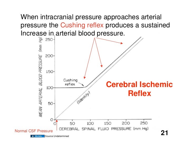 11.05.08(b) Other Reflexes and Reflex Actions
