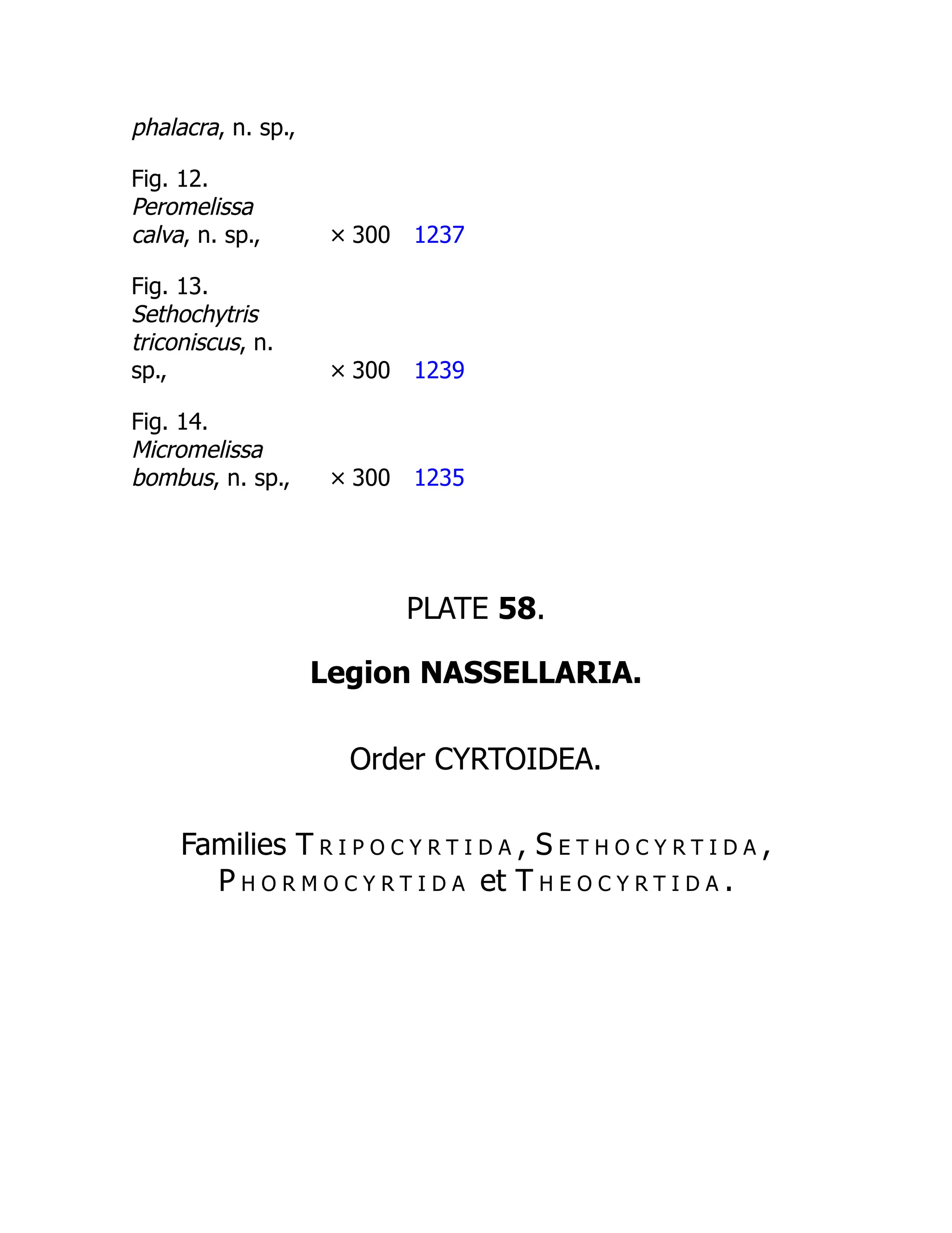 phalacra, n. sp.,
Fig. 12.
Peromelissa
calva, n. sp., × 300 1237
Fig. 13.
Sethochytris
triconiscus, n.
sp., × 300 1239
Fig. 14.
Micromelissa
bombus, n. sp., × 300 1235
PLATE 58.
Legion NASSELLARIA.
Order CYRTOIDEA.
Families T r i p o c y r t i d a , S e t h o c y r t i d a ,
P h o r m o c y r t i d a et T h e o c y r t i d a .
 