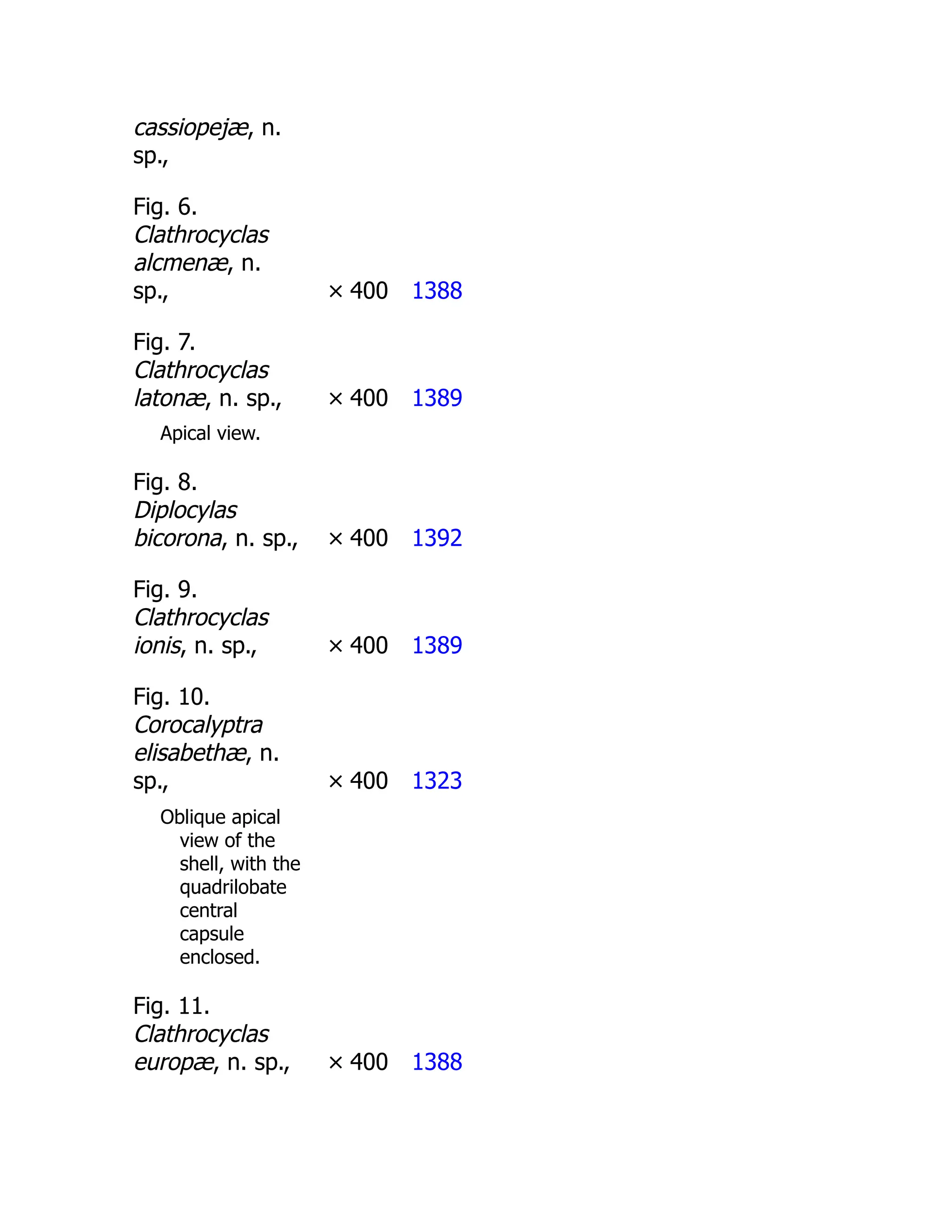 cassiopejæ, n.
sp.,
Fig. 6.
Clathrocyclas
alcmenæ, n.
sp., × 400 1388
Fig. 7.
Clathrocyclas
latonæ, n. sp., × 400 1389
Apical view.
Fig. 8.
Diplocylas
bicorona, n. sp., × 400 1392
Fig. 9.
Clathrocyclas
ionis, n. sp., × 400 1389
Fig. 10.
Corocalyptra
elisabethæ, n.
sp., × 400 1323
Oblique apical
view of the
shell, with the
quadrilobate
central
capsule
enclosed.
Fig. 11.
Clathrocyclas
europæ, n. sp., × 400 1388
 