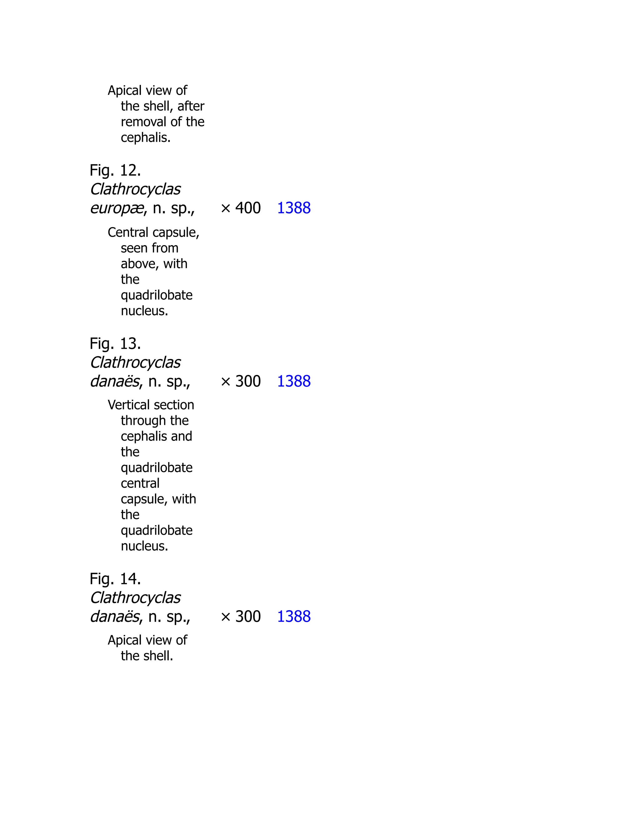 Apical view of
the shell, after
removal of the
cephalis.
Fig. 12.
Clathrocyclas
europæ, n. sp., × 400 1388
Central capsule,
seen from
above, with
the
quadrilobate
nucleus.
Fig. 13.
Clathrocyclas
danaës, n. sp., × 300 1388
Vertical section
through the
cephalis and
the
quadrilobate
central
capsule, with
the
quadrilobate
nucleus.
Fig. 14.
Clathrocyclas
danaës, n. sp., × 300 1388
Apical view of
the shell.
 