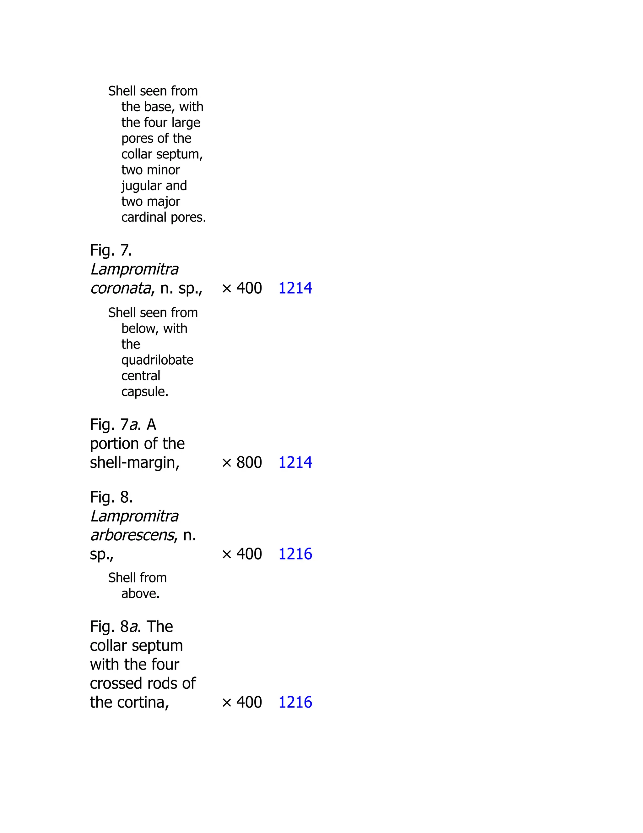 Shell seen from
the base, with
the four large
pores of the
collar septum,
two minor
jugular and
two major
cardinal pores.
Fig. 7.
Lampromitra
coronata, n. sp., × 400 1214
Shell seen from
below, with
the
quadrilobate
central
capsule.
Fig. 7a. A
portion of the
shell-margin, × 800 1214
Fig. 8.
Lampromitra
arborescens, n.
sp., × 400 1216
Shell from
above.
Fig. 8a. The
collar septum
with the four
crossed rods of
the cortina, × 400 1216
 