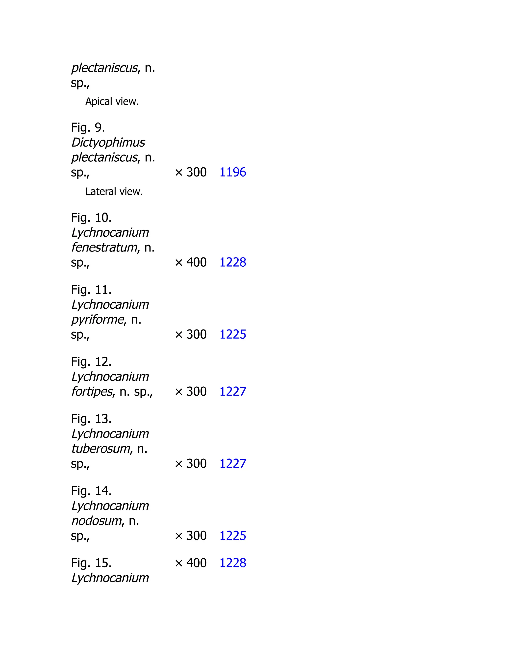 plectaniscus, n.
sp.,
Apical view.
Fig. 9.
Dictyophimus
plectaniscus, n.
sp., × 300 1196
Lateral view.
Fig. 10.
Lychnocanium
fenestratum, n.
sp., × 400 1228
Fig. 11.
Lychnocanium
pyriforme, n.
sp., × 300 1225
Fig. 12.
Lychnocanium
fortipes, n. sp., × 300 1227
Fig. 13.
Lychnocanium
tuberosum, n.
sp., × 300 1227
Fig. 14.
Lychnocanium
nodosum, n.
sp., × 300 1225
Fig. 15.
Lychnocanium
× 400 1228
 