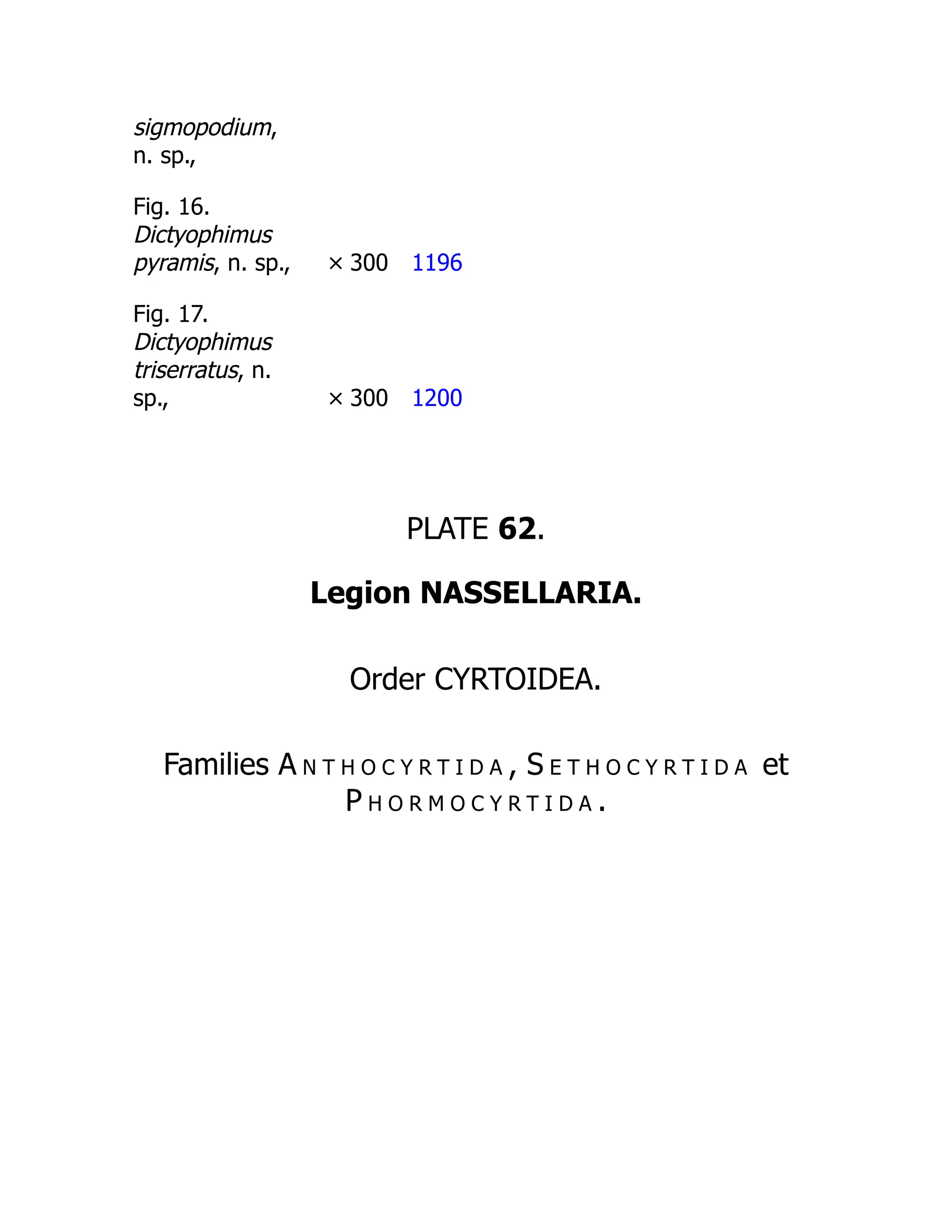 sigmopodium,
n. sp.,
Fig. 16.
Dictyophimus
pyramis, n. sp., × 300 1196
Fig. 17.
Dictyophimus
triserratus, n.
sp., × 300 1200
PLATE 62.
Legion NASSELLARIA.
Order CYRTOIDEA.
Families A n t h o c y r t i d a , S e t h o c y r t i d a et
P h o r m o c y r t i d a .
 