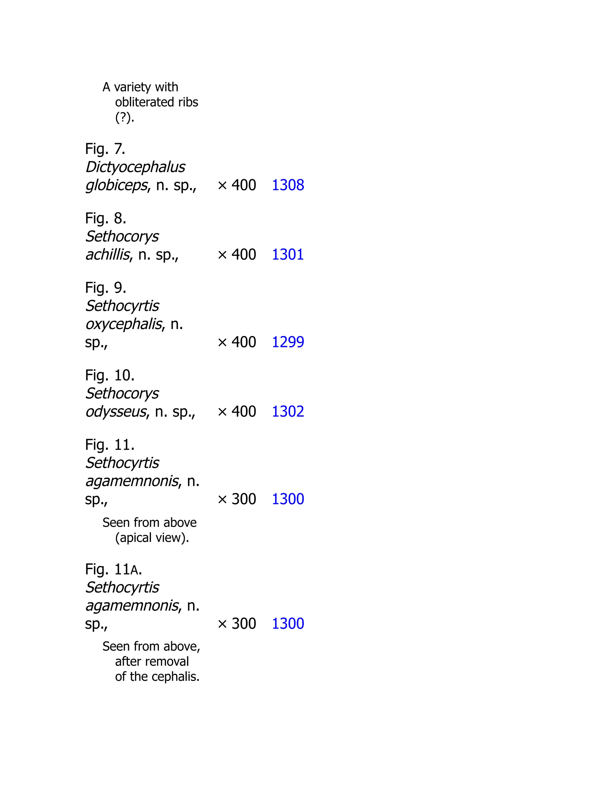 A variety with
obliterated ribs
(?).
Fig. 7.
Dictyocephalus
globiceps, n. sp., × 400 1308
Fig. 8.
Sethocorys
achillis, n. sp., × 400 1301
Fig. 9.
Sethocyrtis
oxycephalis, n.
sp., × 400 1299
Fig. 10.
Sethocorys
odysseus, n. sp., × 400 1302
Fig. 11.
Sethocyrtis
agamemnonis, n.
sp., × 300 1300
Seen from above
(apical view).
Fig. 11A.
Sethocyrtis
agamemnonis, n.
sp., × 300 1300
Seen from above,
after removal
of the cephalis.
 