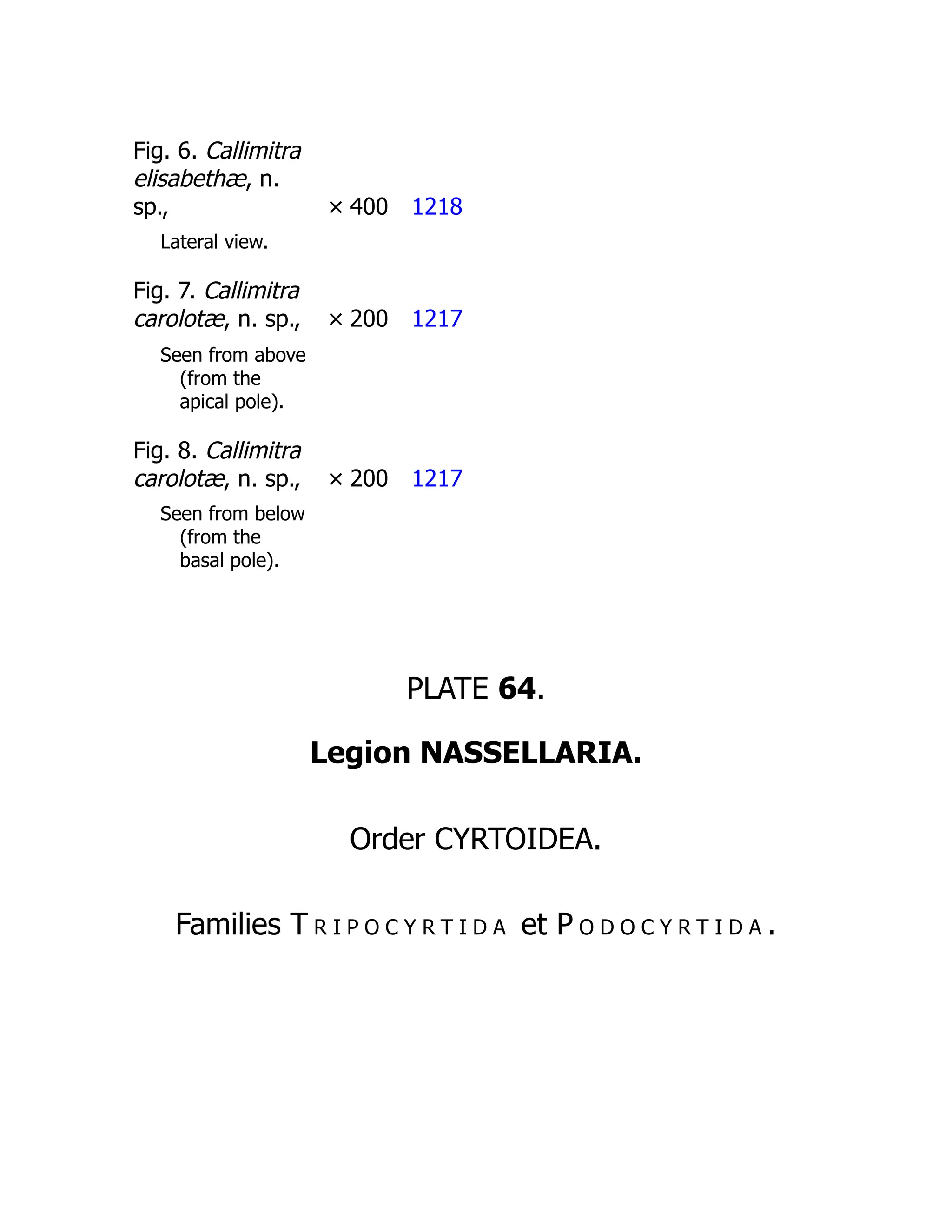 Fig. 6. Callimitra
elisabethæ, n.
sp., × 400 1218
Lateral view.
Fig. 7. Callimitra
carolotæ, n. sp., × 200 1217
Seen from above
(from the
apical pole).
Fig. 8. Callimitra
carolotæ, n. sp., × 200 1217
Seen from below
(from the
basal pole).
PLATE 64.
Legion NASSELLARIA.
Order CYRTOIDEA.
Families T r i p o c y r t i d a et P o d o c y r t i d a .
 