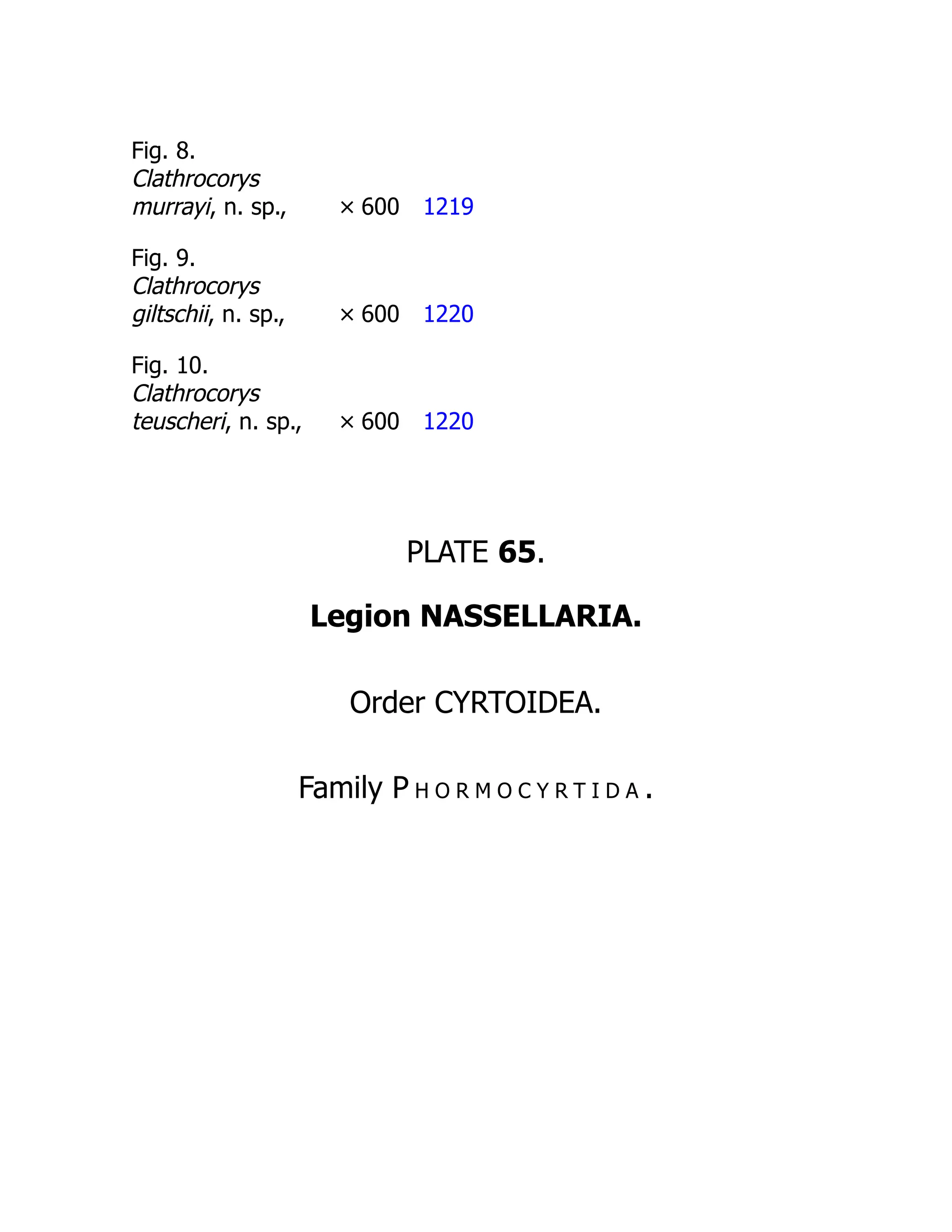 Fig. 8.
Clathrocorys
murrayi, n. sp., × 600 1219
Fig. 9.
Clathrocorys
giltschii, n. sp., × 600 1220
Fig. 10.
Clathrocorys
teuscheri, n. sp., × 600 1220
PLATE 65.
Legion NASSELLARIA.
Order CYRTOIDEA.
Family P h o r m o c y r t i d a .
 
