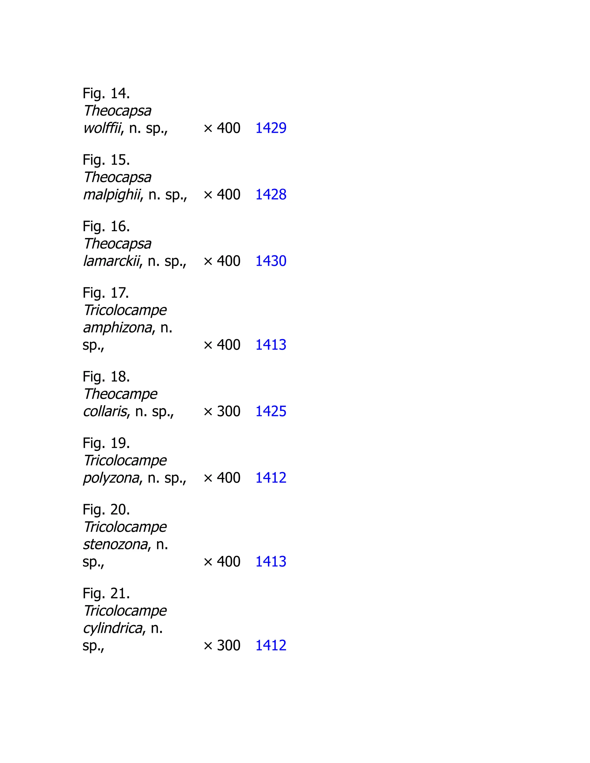 Fig. 14.
Theocapsa
wolffii, n. sp., × 400 1429
Fig. 15.
Theocapsa
malpighii, n. sp., × 400 1428
Fig. 16.
Theocapsa
lamarckii, n. sp., × 400 1430
Fig. 17.
Tricolocampe
amphizona, n.
sp., × 400 1413
Fig. 18.
Theocampe
collaris, n. sp., × 300 1425
Fig. 19.
Tricolocampe
polyzona, n. sp., × 400 1412
Fig. 20.
Tricolocampe
stenozona, n.
sp., × 400 1413
Fig. 21.
Tricolocampe
cylindrica, n.
sp., × 300 1412
 
