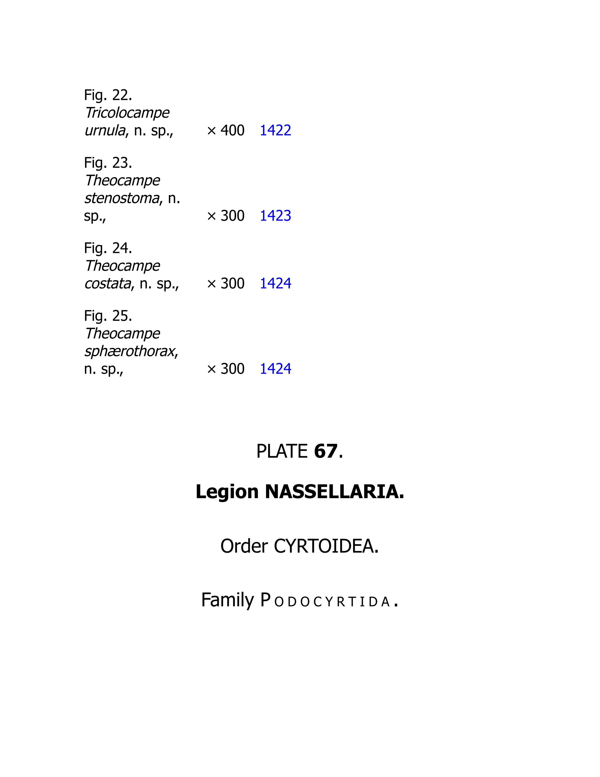 Fig. 22.
Tricolocampe
urnula, n. sp., × 400 1422
Fig. 23.
Theocampe
stenostoma, n.
sp., × 300 1423
Fig. 24.
Theocampe
costata, n. sp., × 300 1424
Fig. 25.
Theocampe
sphærothorax,
n. sp., × 300 1424
PLATE 67.
Legion NASSELLARIA.
Order CYRTOIDEA.
Family P o d o c y r t i d a .
 