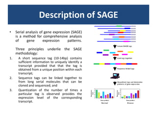 Robinson, McCarthy, Smyth (2010)