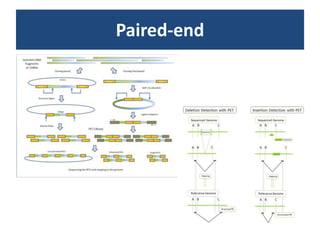 Paired-end