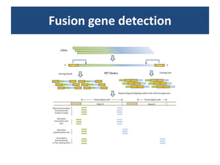 Fusiongenedetection