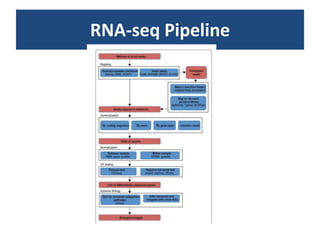 RNA-seqPipeline