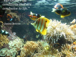 “ Life creates the conditions that are conducive to life.”   - Janine Benyus 