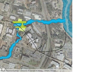 Odum School of Ecology – University of Georgia at Athens – Athens, Georgia 