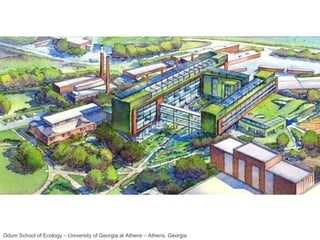Odum School of Ecology – University of Georgia at Athens – Athens, Georgia 