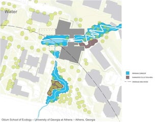 Water Odum School of Ecology – University of Georgia at Athens – Athens, Georgia 