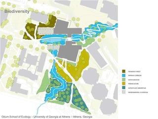 Biodiversity Odum School of Ecology – University of Georgia at Athens – Athens, Georgia 