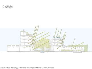 Daylight Odum School of Ecology – University of Georgia at Athens – Athens, Georgia 