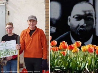 Tulips on Troost Planting Day – Kansas City, Missouri 