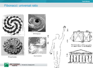 Fibonacci: universal ratio 