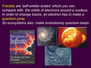 Fractals  are 'self-similar scales ’  which you can   compare with  the orbits of electrons around a nucleus.  In order to...