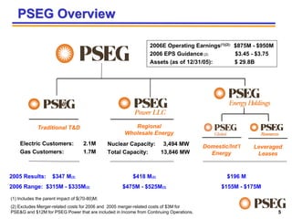 PEG_031506MorganStanley_3