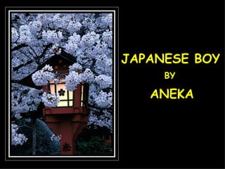JAPANESE BOY BY ANEKA 