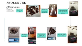 Synthesizing chitosan from different chitin sources and it’s ...