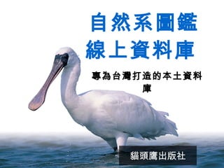 自然系圖鑑 線上資料庫   專為台灣打造的本土資料庫 貓頭鷹出版社 
