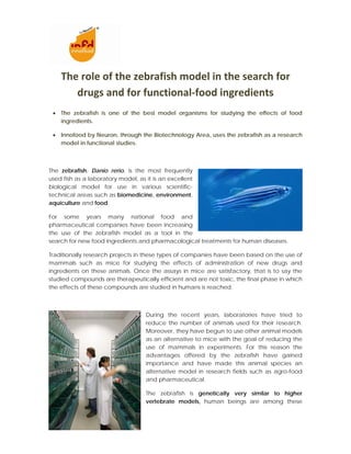  
    The role of the zebrafish model in the search for 
       drugs and for functional‐food ingredients 
                                          
 • The zebrafish is one of the best model organisms for studying the effects of food
   ingredients.

 • Innofood by Neuron, through the Biotechnology Area, uses the zebrafish as a research
   model in functional studies.



The zebrafish, Danio rerio, is the most frequently
used fish as a laboratory model, as it is an excellent
biological model for use in various scientific-
technical areas such as biomedicine, environment,
aquiculture and food.

For some years many national food and
pharmaceutical companies have been increasing
the use of the zebrafish model as a tool in the
search for new food ingredients and pharmacological treatments for human diseases.

Traditionally research projects in these types of companies have been based on the use of
mammals such as mice for studying the effects of administration of new drugs and
ingredients on these animals. Once the assays in mice are satisfactory, that is to say the
studied compounds are therapeutically efficient and are not toxic, the final phase in which
the effects of these compounds are studied in humans is reached.



                                    During the recent years, laboratories have tried to
                                    reduce the number of animals used for their research.
                                    Moreover, they have begun to use other animal models
                                    as an alternative to mice with the goal of reducing the
                                    use of mammals in experiments. For this reason the
                                    advantages offered by the zebrafish have gained
                                    importance and have made this animal species an
                                    alternative model in research fields such as agro-food
                                    and pharmaceutical.

                                    The zebrafish is genetically very similar to higher
                                    vertebrate models, human beings are among these
 