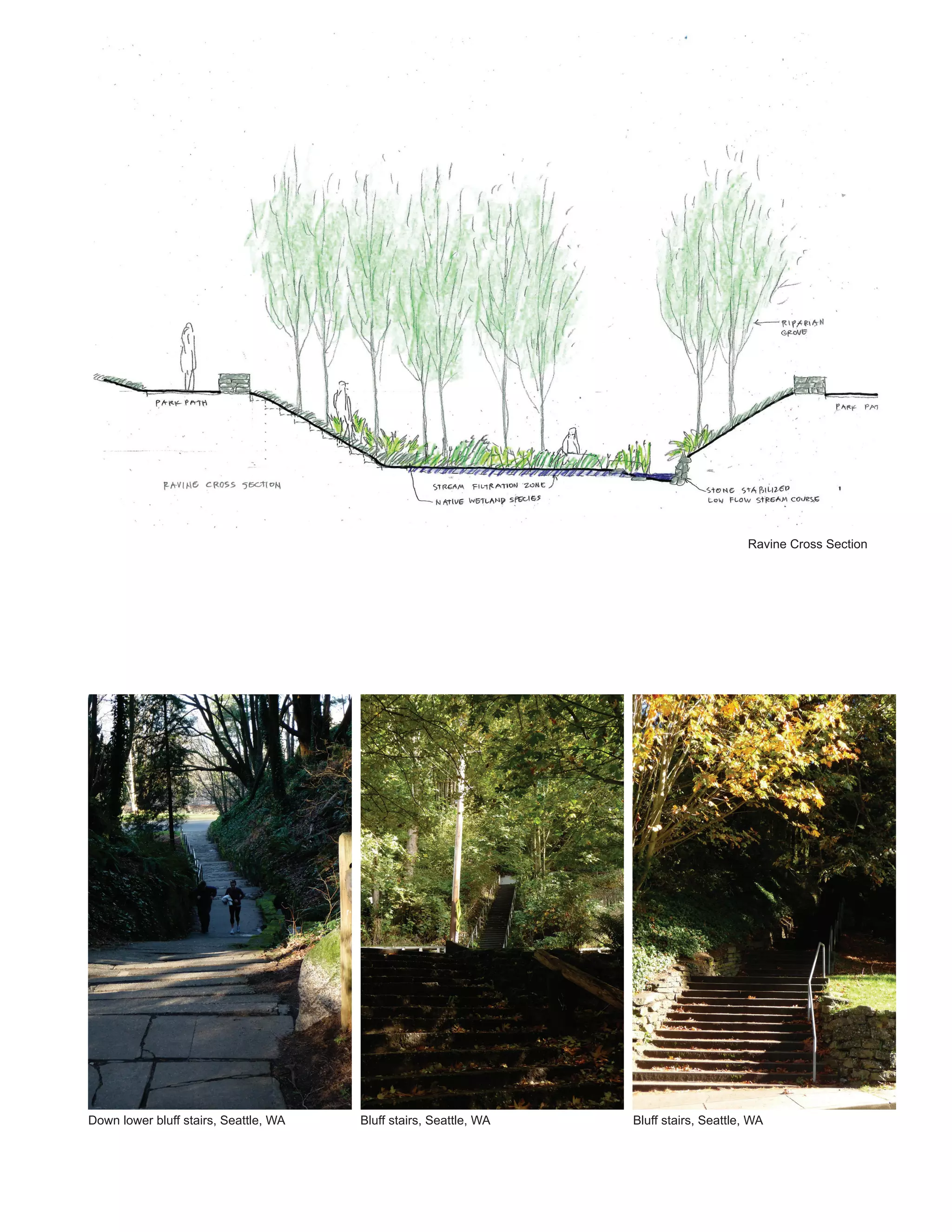 Ravine Cross Section




Down lower bluff stairs, Seattle, WA   Bluff stairs, Seattle, WA   Bluff stairs, Seattle, WA
 