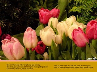 Cho tôi như bóng mây, lang thang qua cõi này Cho tôi được ngắm sao trên trời giữa hương đồng cỏ nội Cho tôi như khúc ca, bay đi xa rất xa Cho tôi được cám ơn cuộc đời, cảm ơn mọi người Cho tôi được sống trong tim người bằng những lời ca  