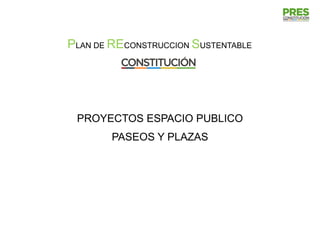 PLAN DE RECONSTRUCCION SUSTENTABLE




 PROYECTOS ESPACIO PUBLICO
        PASEOS Y PLAZAS
 