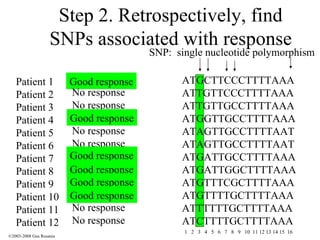 Step 2. Retrospectively, find SNPs associated with response Patient 1 Patient 2 Patient 3 Patient 4 Patient 5 Patient 6 Patient 7 Patient 8 Patient 9 Patient 10 Patient 11 Patient 12 Good response No response No response Good response No response No response Good response Good response Good response Good response No response No response ATGCTTCCCTTTTAAA ATTGTTCCCTTTTAAA ATTGTTGCCTTTTAAA ATGGTTGCCTTTTAAA ATAGTTGCCTTTTAAT ATAGTTGCCTTTTAAT ATGATTGCCTTTTAAA ATGATTGGCTTTTAAA ATGTTTCGCTTTTAAA ATGTTTTGCTTTTAAA ATTTTTTGCTTTTAAA ATCTTTTGCTTTTAAA SNP:  single nucleotide polymorphism Good response Good response Good response Good response Good response 1  2  3  4  5  6  7  8  9  10  11 12 13 14 15  16 ©2003-2008 Gus Rosania 