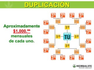 Aproximadamente
$1,000.ºº
mensuales
de cada uno.
DUPLICACIÓN
 