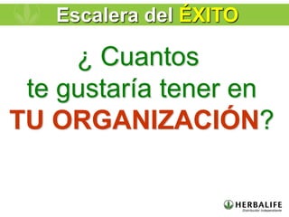 ¿ Cuantos
te gustaría tener en
TU ORGANIZACIÓN?
Escalera del ÉXITO
 
