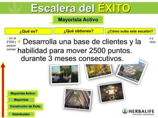 Distribuidor
¿Qué obtienes? ¿Cómo subo este escalón?
¿Qué es?
 Entrenamientos especiales.
 La habilidad de distribuir y crear
organización.
 Un distribuidor que ha logrado
2’500 puntos de volumen
personal durante 3 meses
consecutivos.
 Desarrolla una base de clientes y
la habilidad para mover 2500 puntos.
Mayorista Activo
Constructor de Éxito
Mayorista
Mayorista Activo
Escalera del ÉXITO
 Entrenamientos especiales.
 La habilidad de distribuir y
crear organización.
 Un distribuidor que ha logrado
2’500 puntos de volumen personal
durante 3 meses consecutivos.
 Desarrolla una base de clientes y la
habilidad para mover 2500 puntos.
 