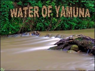 Mathura of my Dreams by Saloni Agarwal